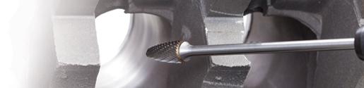Long Shank Range Image
